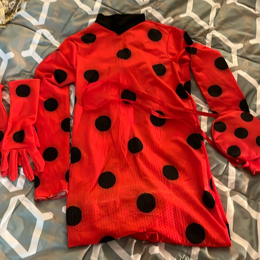 Miraculous Ladybug Halloween costume